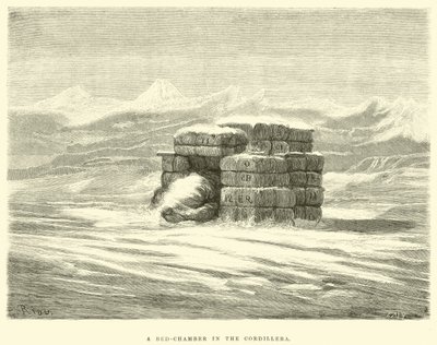 A Bed-Chamber in the Cordillera by Edouard Riou